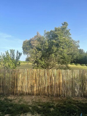 A bamboo fence in a grassy field with a large tree in the background.