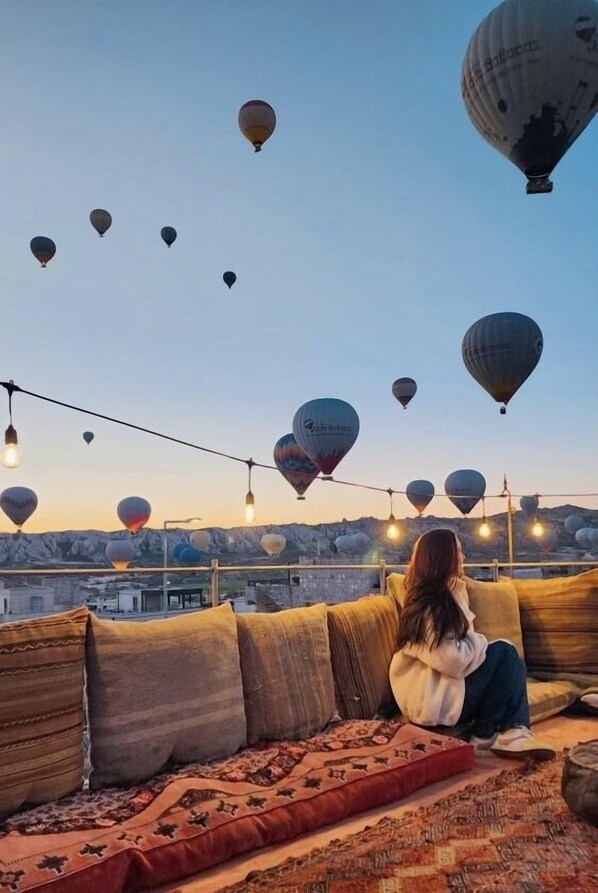 テラス / パティオ