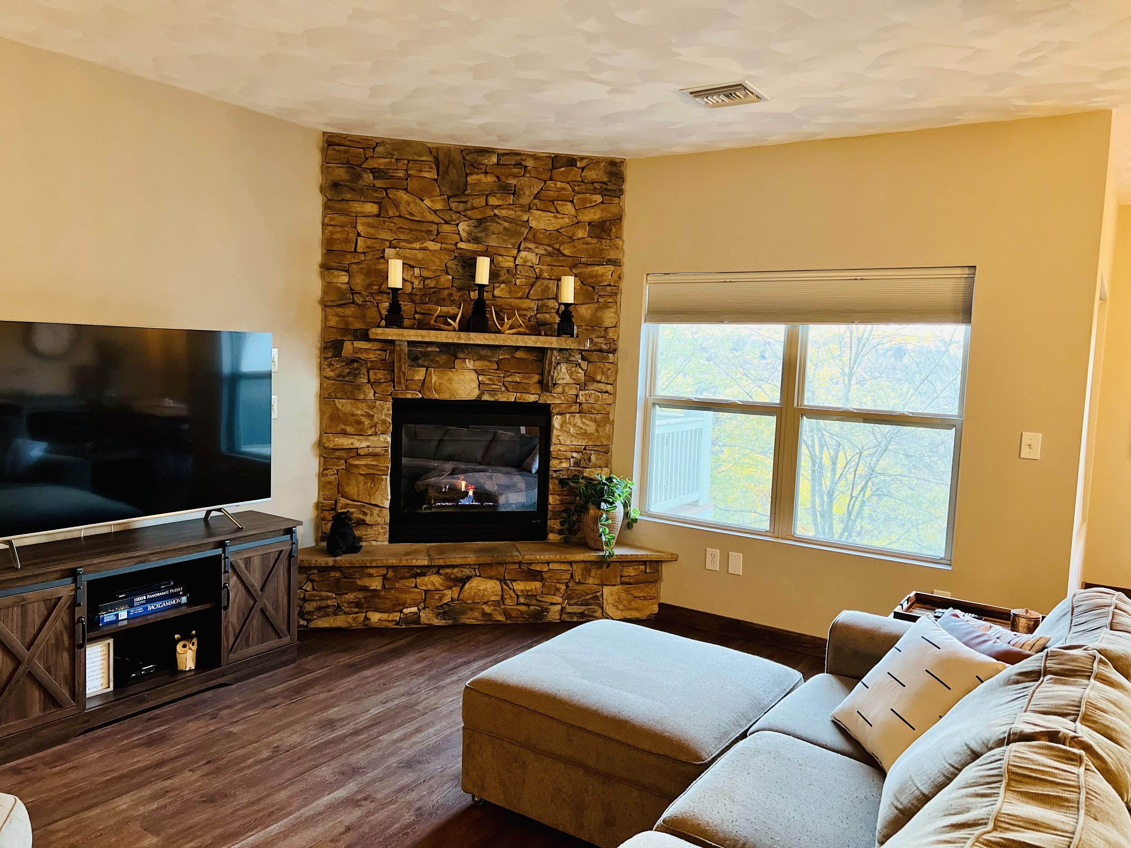 Smart TV, fireplace, DVD player, video library