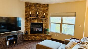 Smart TV, fireplace, DVD player, video library