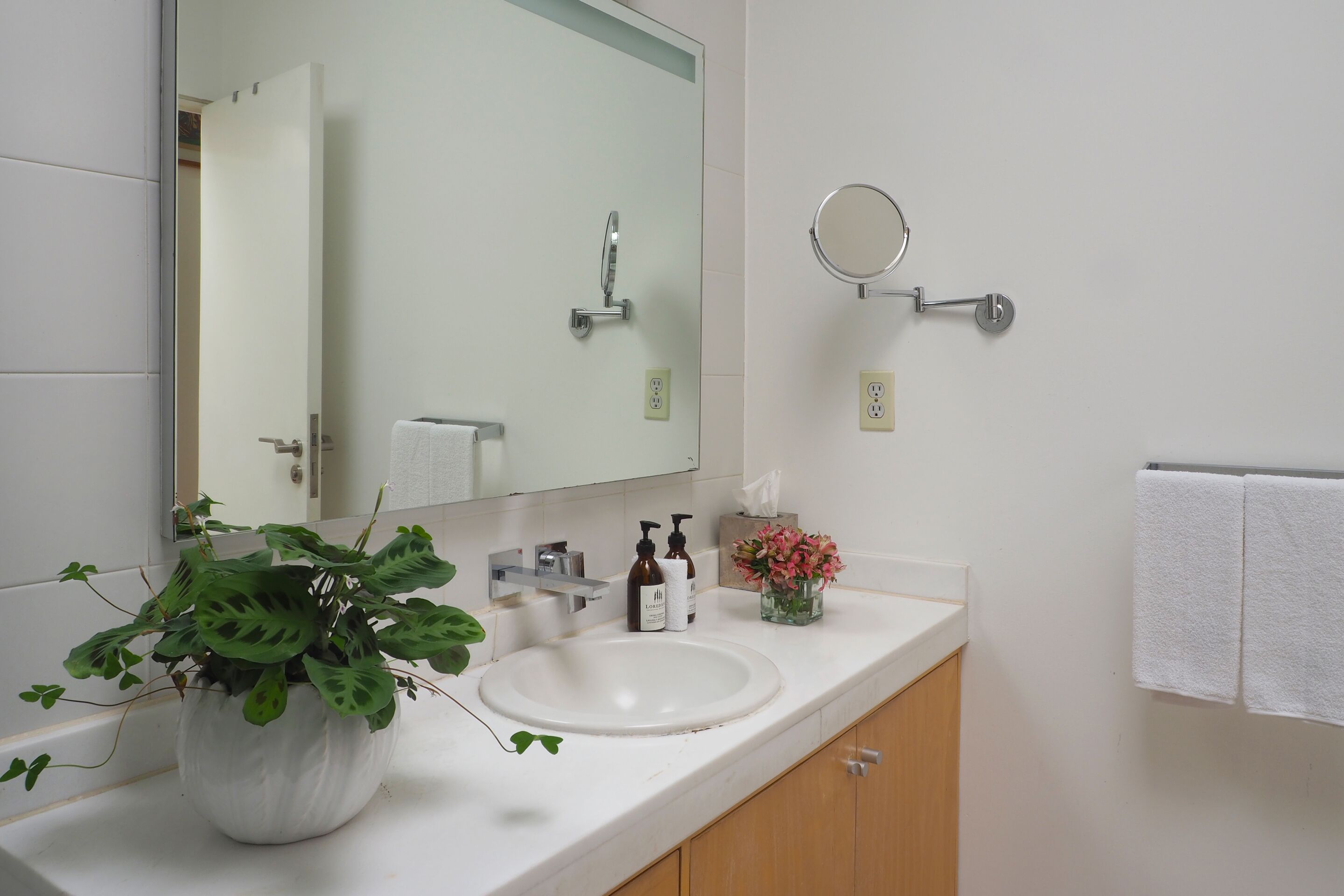 A bathroom with a white sink, a mirror, a potted plant, and a towel rack.