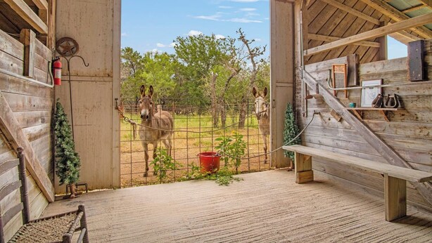 A wooden interior with a view of a fenced outdoor area, a fire extinguisher, and a small Christmas tree. - Doe Creek Ranch | 2BR Cabin with Horse Amenities (Bandera)