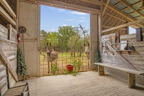 Property grounds - Doe Creek Horse Ranch in Bandera (Bandera)