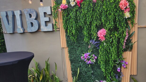 A wall with a vertical garden and a sign that reads "VIBE".