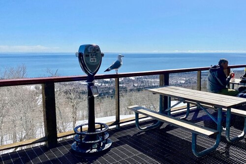 Condo at Lutsen Mtn Ski in Ski out Hike Bike Ski Swim etc