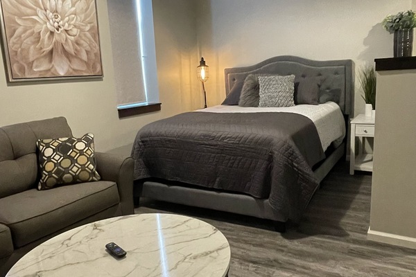 Queen bed & full size pull out couch