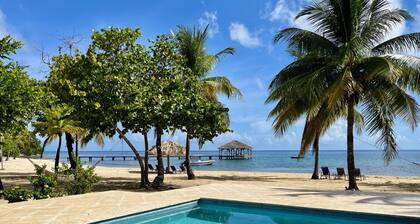 Unobstructed views, on the beach, steps from pool, dive shop, and restaurant
