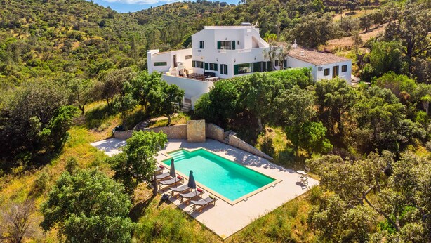 Une villa moderne dotée d’une piscine, le tout entouré d’une végétation luxuriante.
