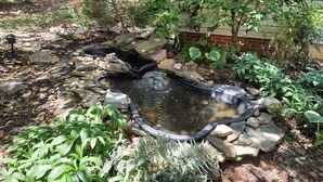 Un jardín con un estanque, rodeado de rocas y diversas plantas.