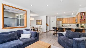 TV, fireplace, DVD player