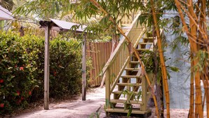 Una escalera de madera que conduce a una zona cubierta, rodeada de follaje denso y una estructura de bambú.