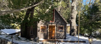 Fairytale themed secluded cabin- pets ok, king bed, fast Wi-Fi!