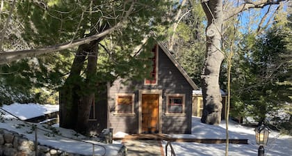 Fairytale themed secluded cabin- pets ok, king bed, fast Wi-Fi!