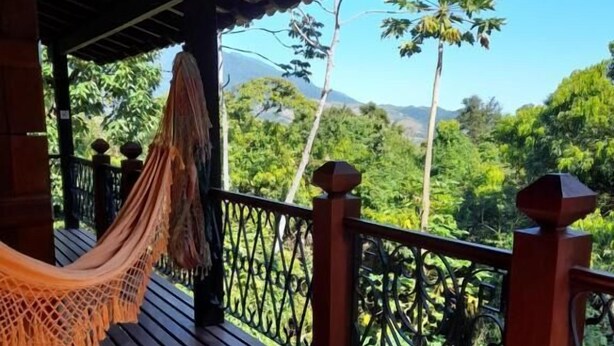 Une terrasse en bois avec un hamac, une rambarde en métal et une vue sur une végétation luxuriante et des montagnes.