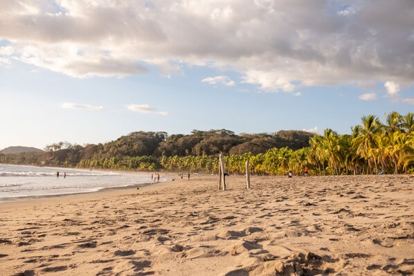 A sandy beach with footprints, palm trees, and a volleyball net.
