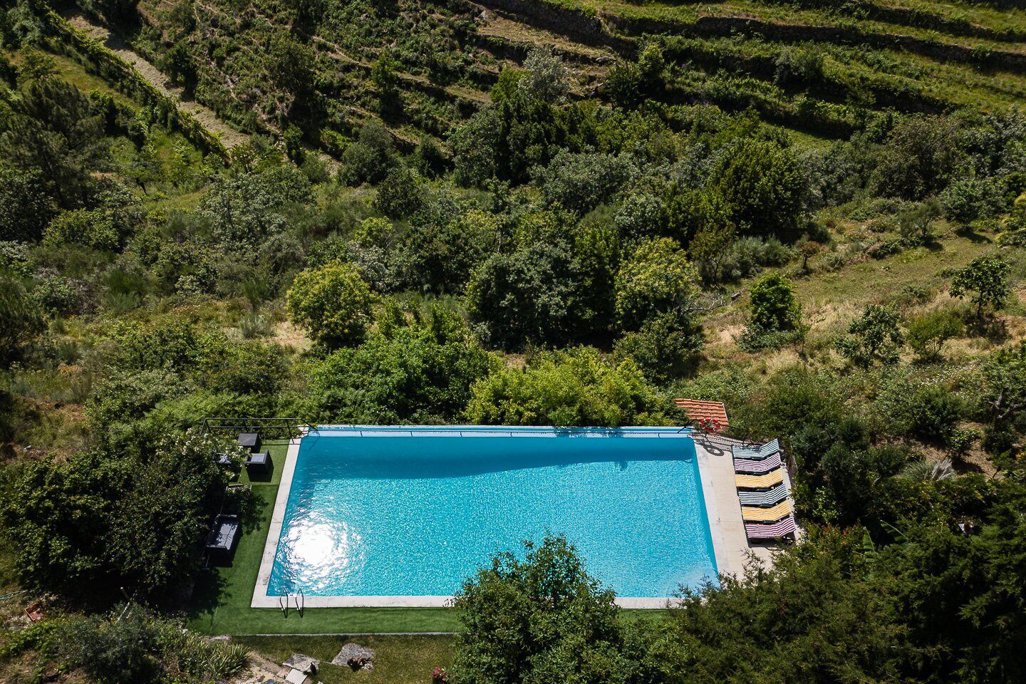 Vue aérienne d’une piscine rectangulaire entourée d’une végétation luxuriante et de champs en terrasses.