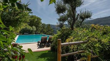 A swimming pool with lounge chairs, surrounded by lush greenery and a wooden fence.