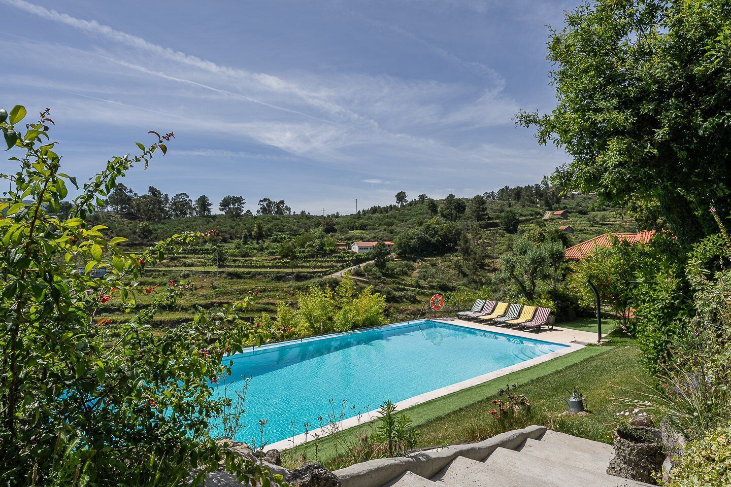 Une piscine entourée de chaises longues, au milieu d’une végétation luxuriante et d’un paysage vallonné.