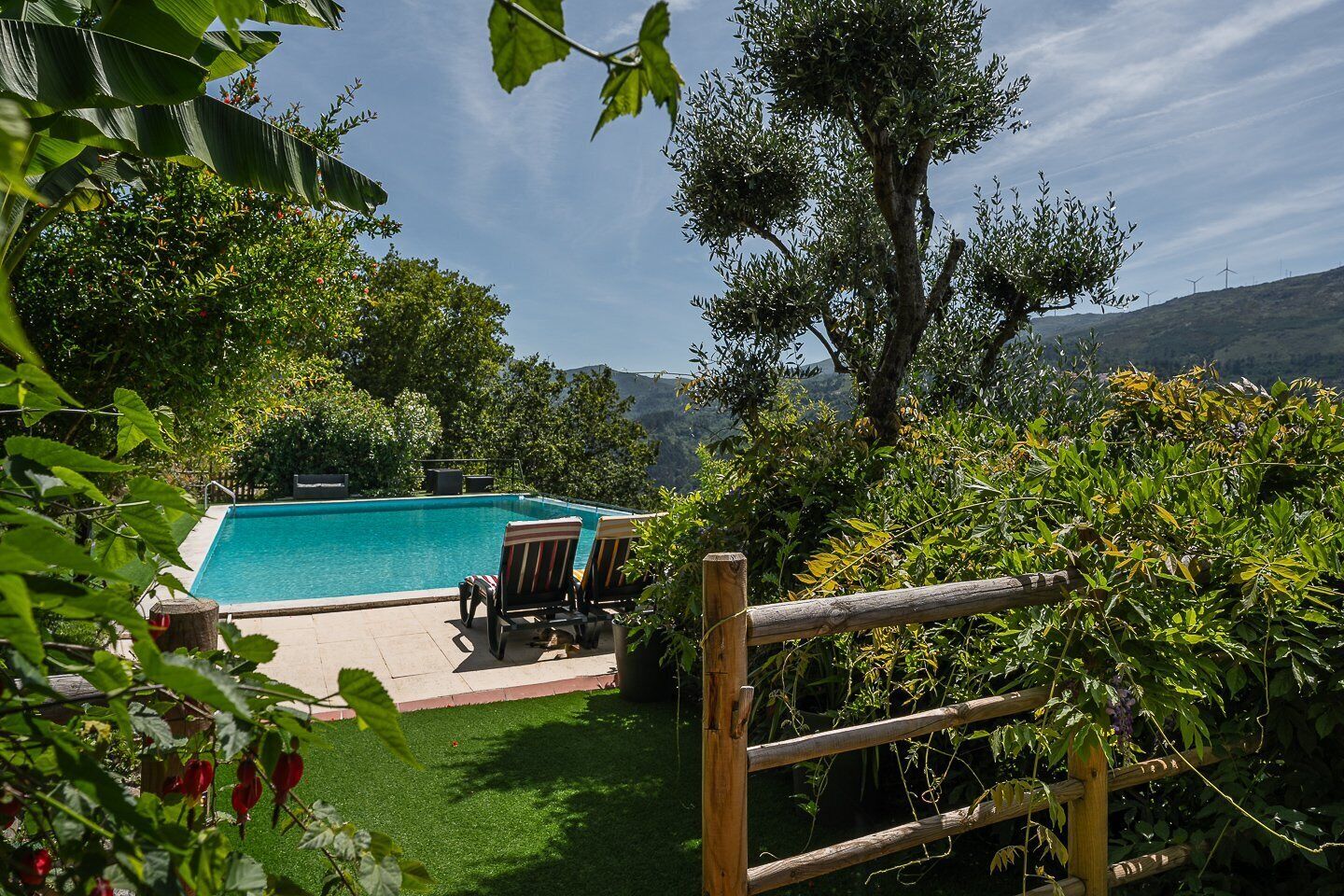 Una piscina con lettini, immersa nel verde e circondata da un recinto in legno.
