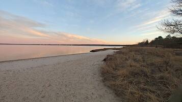 Chaises longues, serviettes de plage