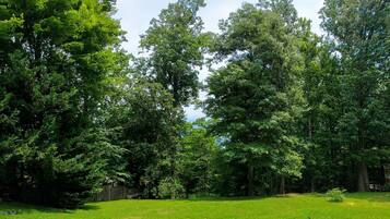 Un champ herbeux, avec de grands arbres et une clôture en bois en arrière-plan.