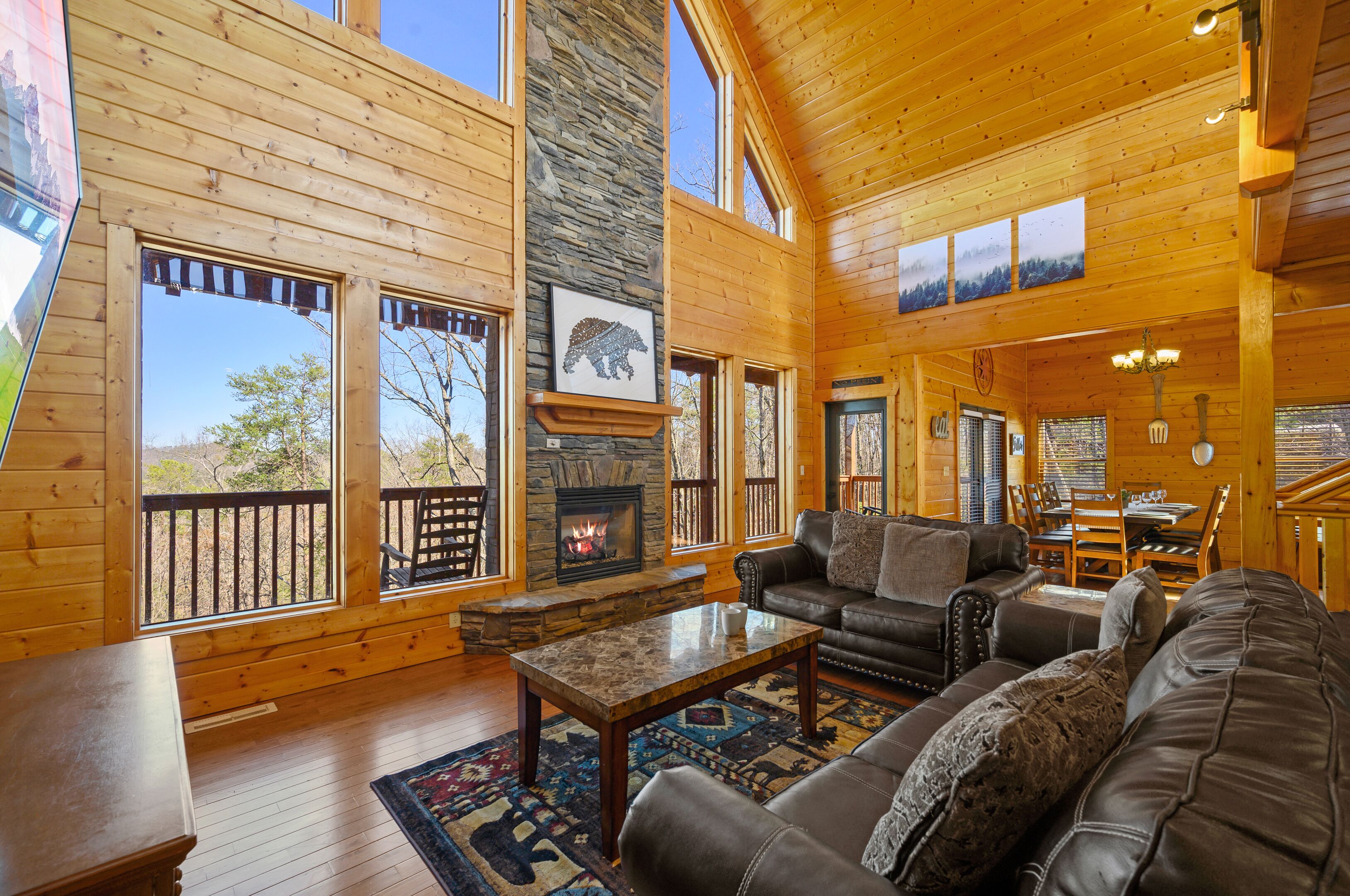 Smart TV, fireplace, video games