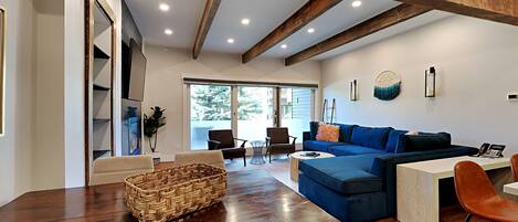 Televisión, chimenea, reproductor de DVD y videoteca