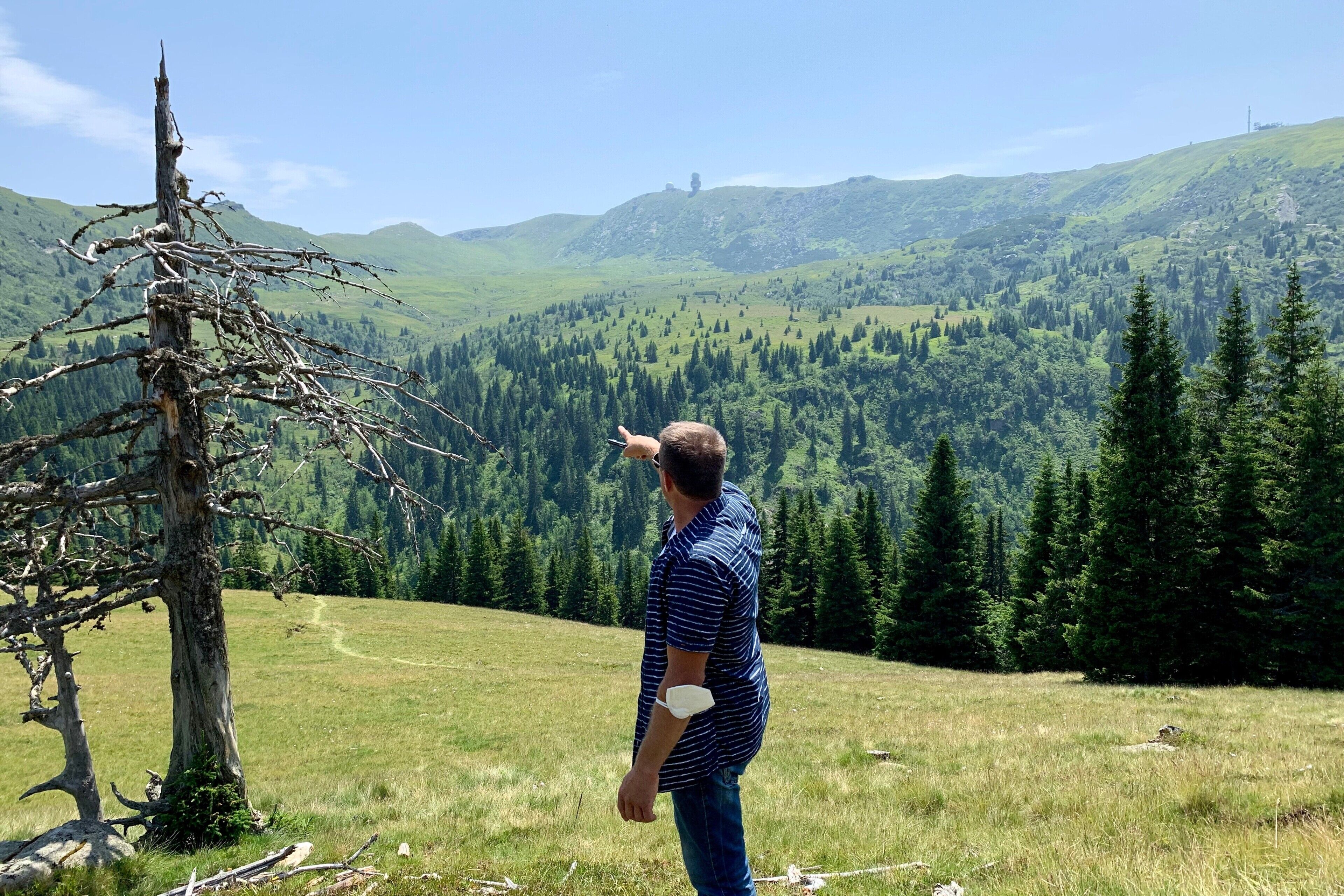 A person standing in a grassy field with a mountainous landscape in the background.