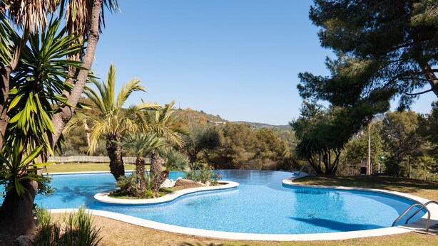 Una piscina de borde curvo, rodeada de césped y palmeras.