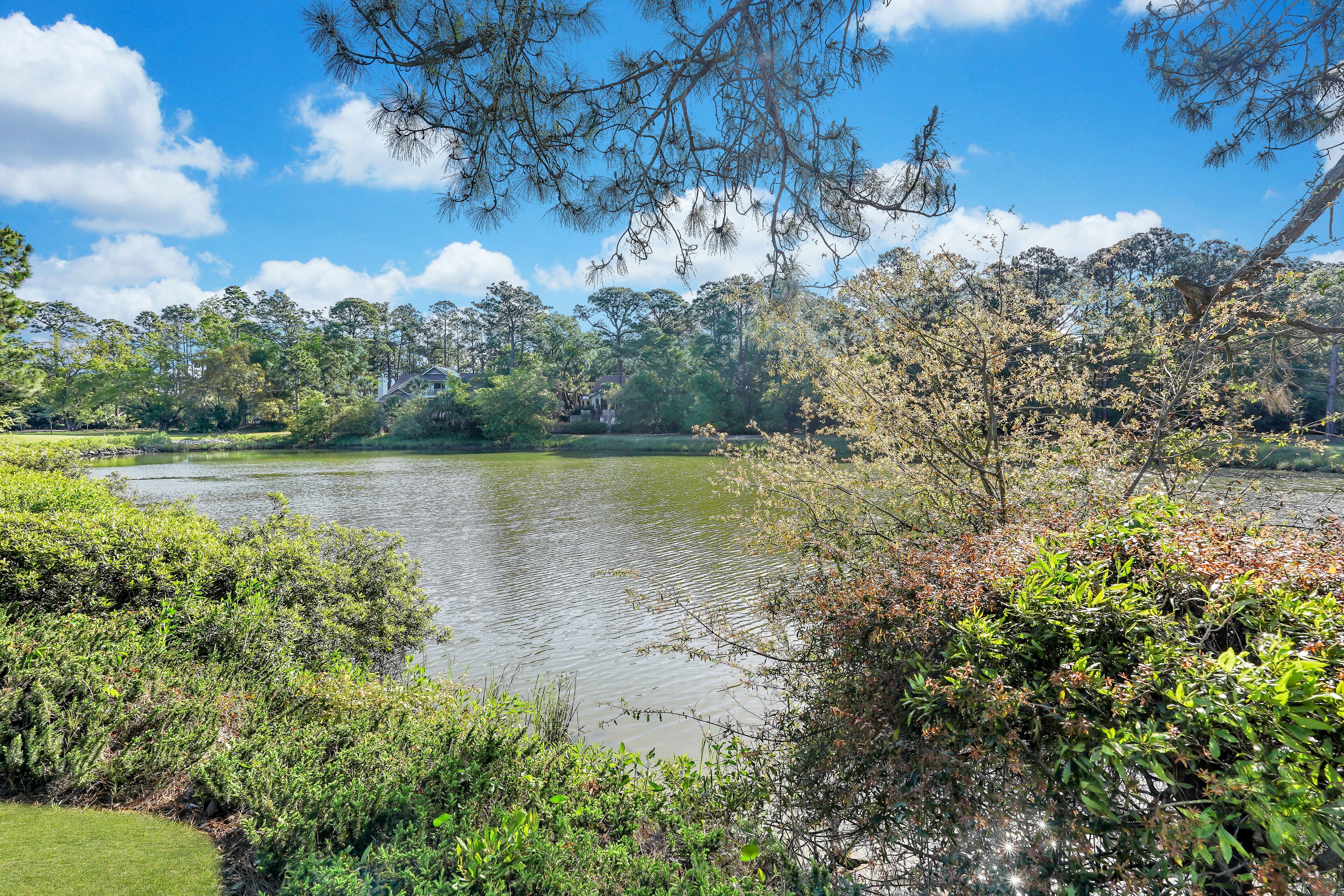Una vista tranquilla su un lago, con una fitta vegetazione e cielo sereno.