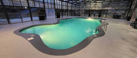 Una piscina interior de diseño curvo, rodeada por paredes de cristal y una estructura de techo metálico.