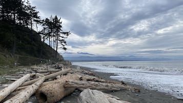 A beach with driftwood and trees, a rocky shoreline, and a view of distant mountains under a cloudy sky.