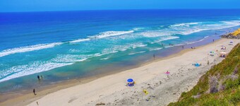 Endless Summer In Solana Beach