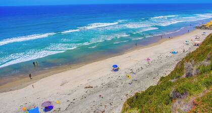 Endless Summer In Solana Beach