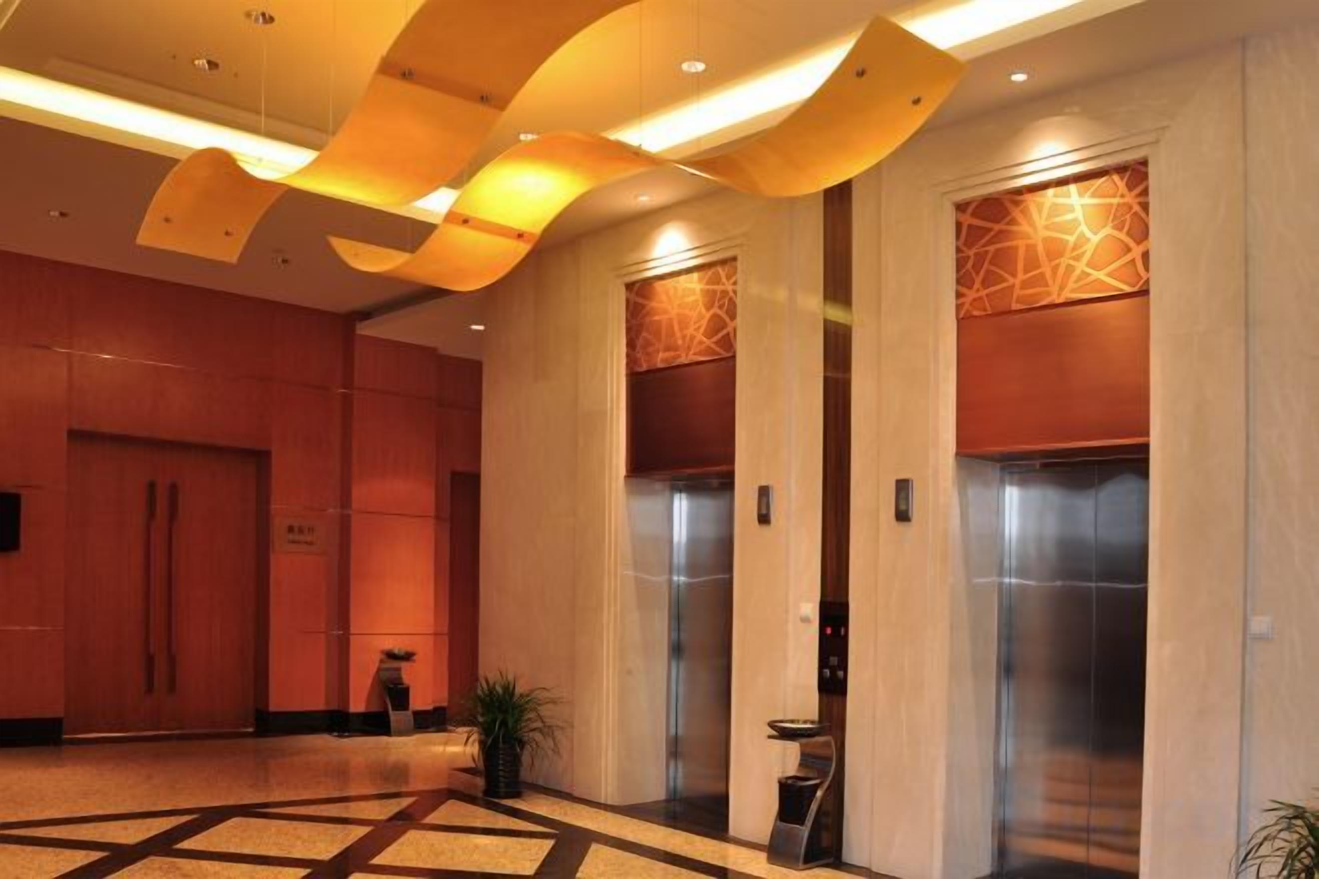 Un hall d’entrée doté de deux ascenseurs, d’un mur orné de motifs géométriques et d’une plante.