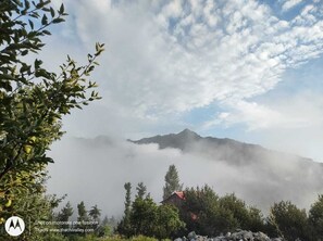 Property grounds - Happy and Peaceful wooden cottage with ample of space in 5 acre of apple orchard (Thachi)