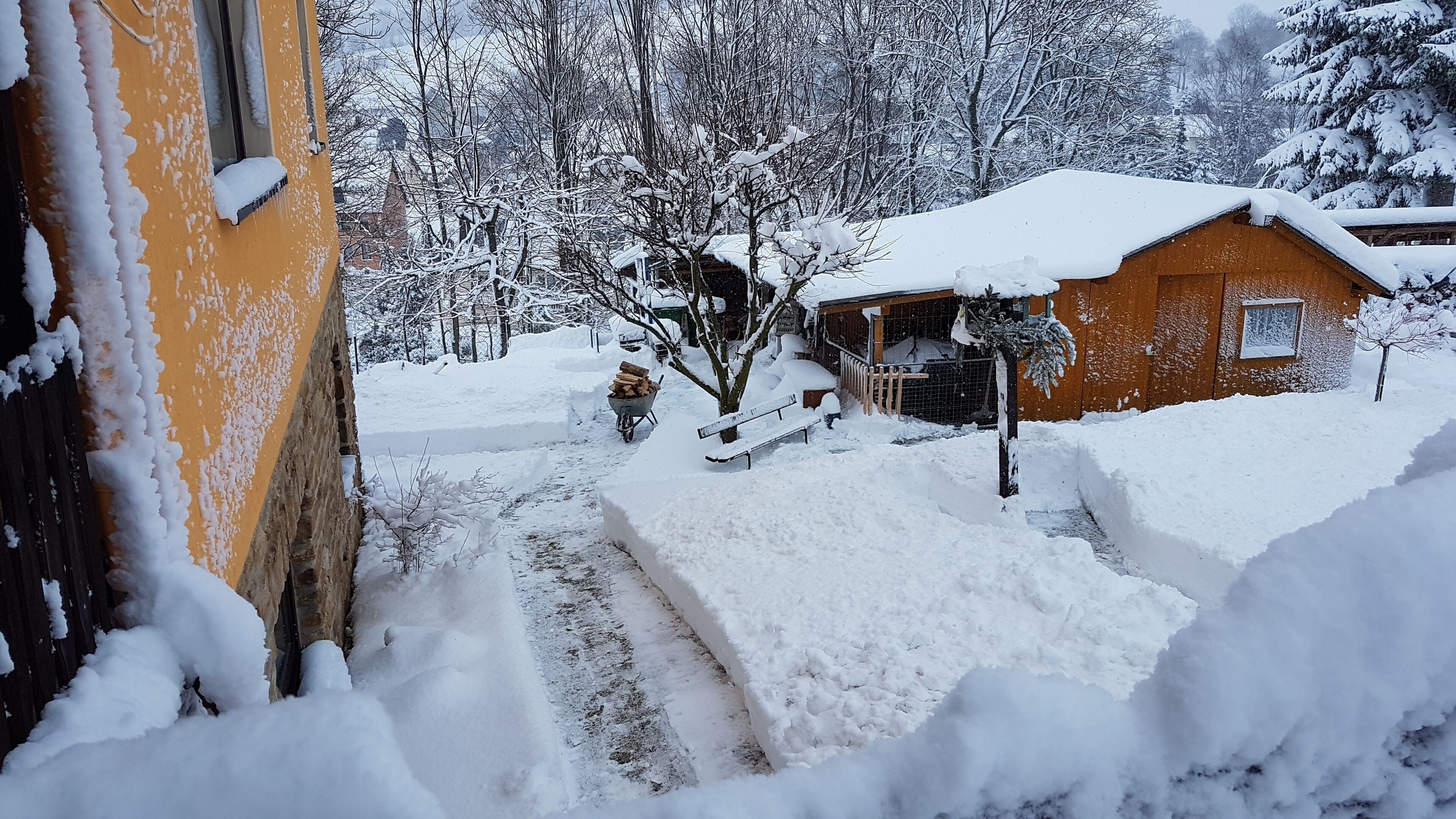 Un paysage enneigé avec une maison en bois, un banc et une brouette remplie de bois de chauffage.