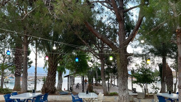 Un espace extérieur aménagé avec des tables et des chaises, entouré d’arbres et offrant une vue sur un plan d’eau.