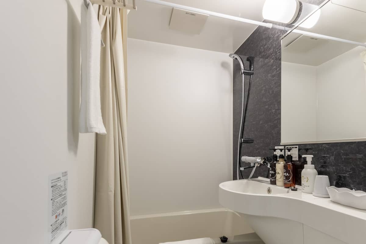 Suihkun ja ammeen yhdistelmÀ, ilmaiset hygieniatuotteet, hiustenkuivaaja