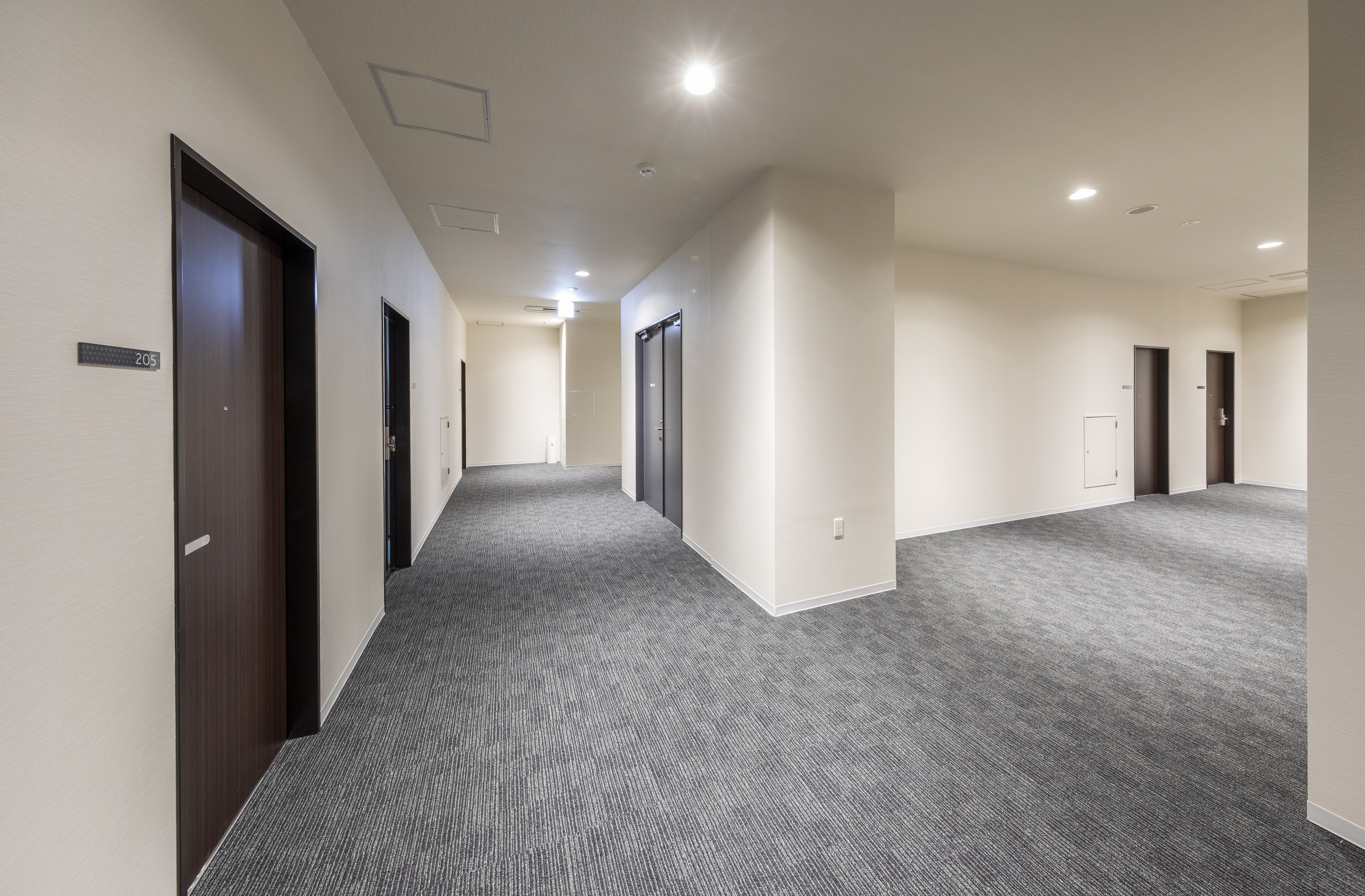 Un pasillo largo y estrecho con pisos alfombrados y puertas a ambos lados, que conduce a habitaciones individuales.