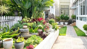 A garden with various plants and a stone pathway. - Hersy Vista · Hesi 270° Panoramic Erhai-Cangshan View Boutique Stay (Dali City)