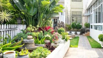 A garden with various plants and a pathway.