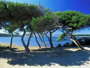 Beach nearby