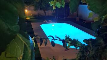 A swimming pool surrounded by foliage.