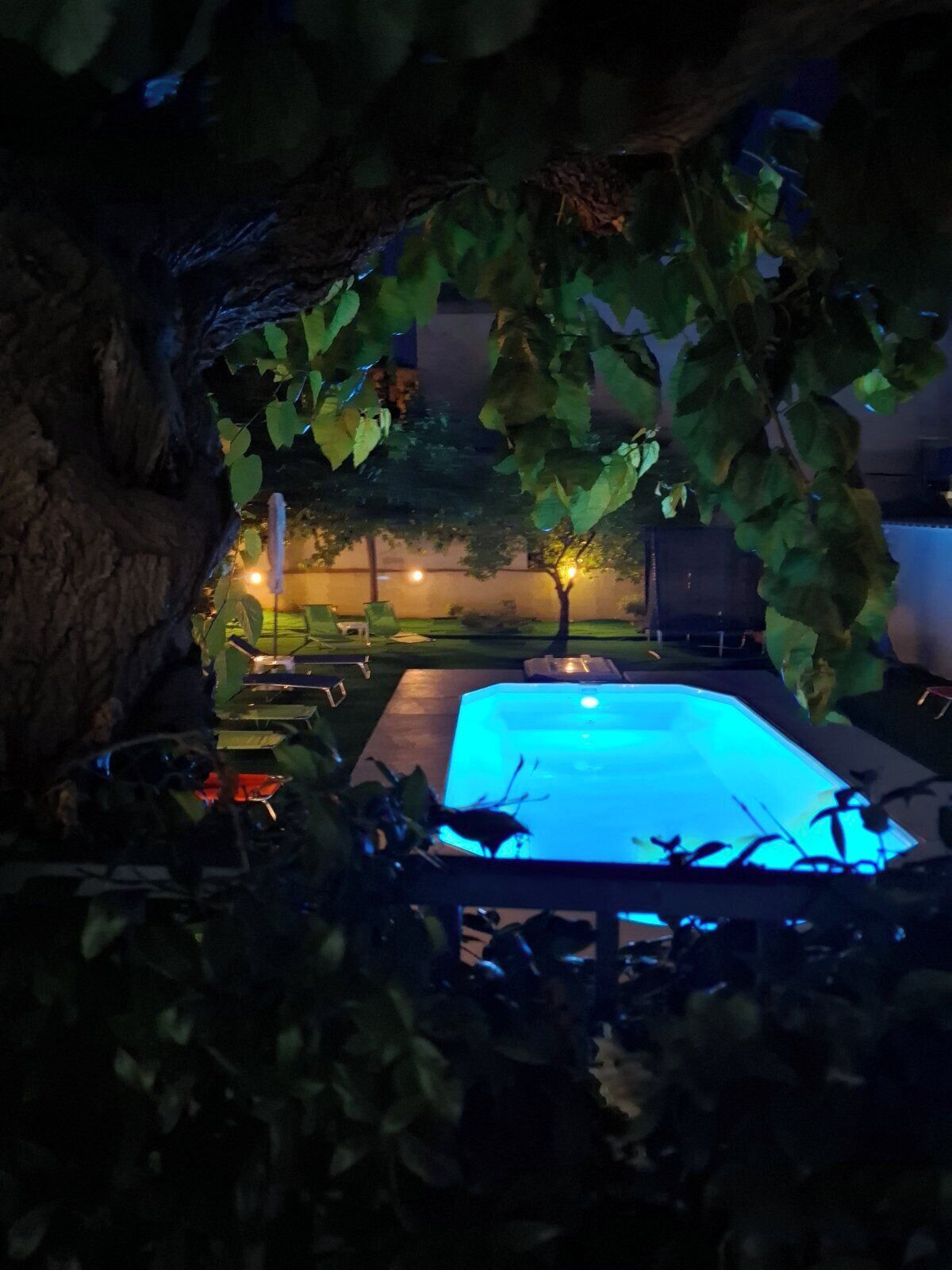 Un área de piscina con una piscina iluminada en azul, rodeada de follaje y un árbol.