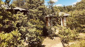 A secluded cabin surrounded by dense forest, with a clear sky above.