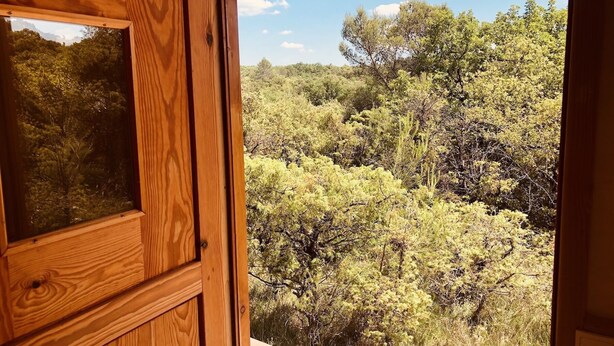 A wooden door with a window, revealing a view of a forested landscape.
