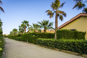 A paved pathway flanked by neatly trimmed hedges and palm trees, leading to a building with a yellow facade. - Residence Hydria (Campofelice di Roccella)