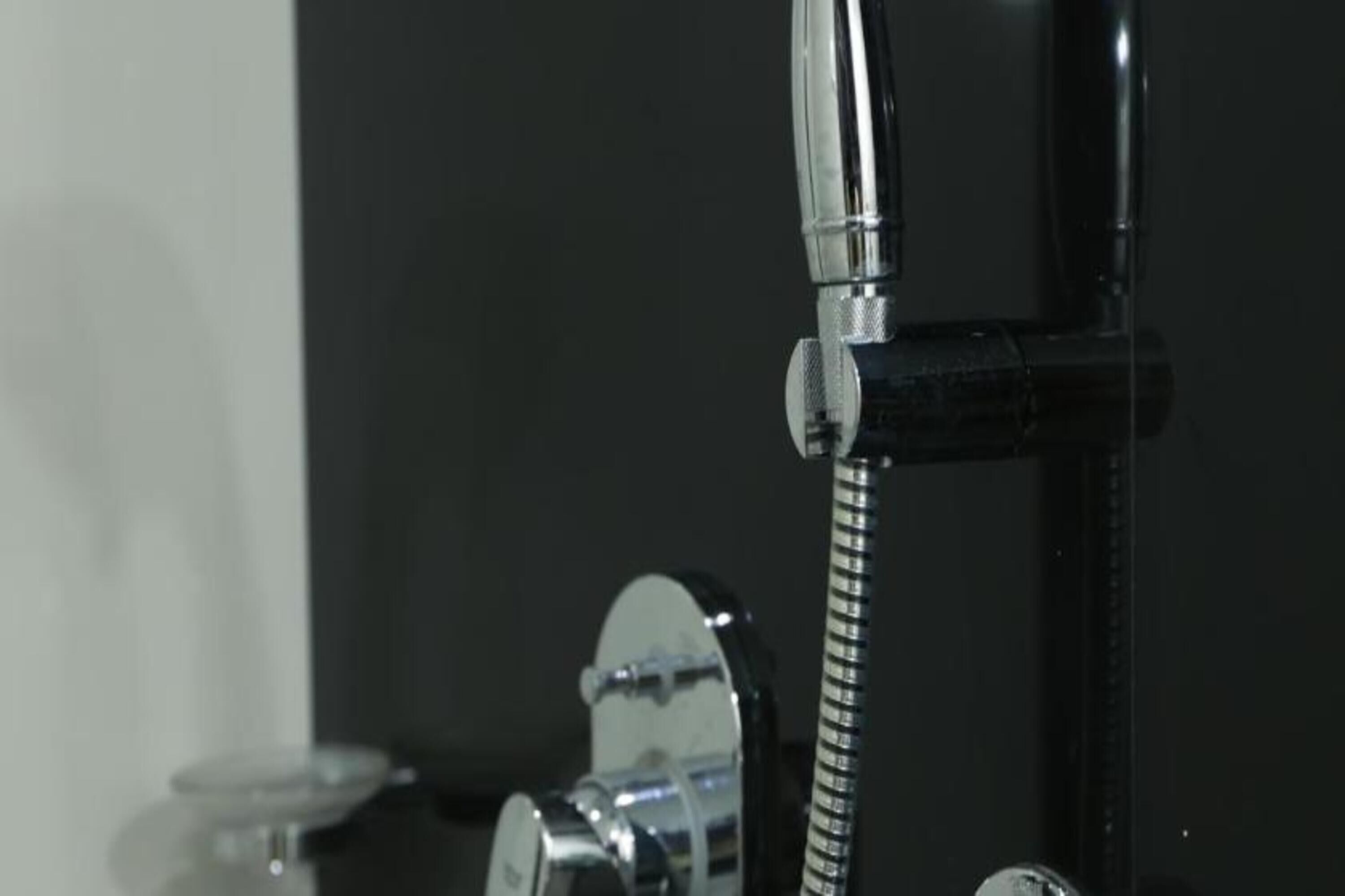 shower, rainfall showerhead, hair dryer, bidet