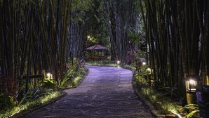 A pathway flanked by tall bamboo trees, leading to a gazebo-like structure. - One Myanmar Resort Putao (Putao)
